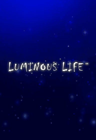 lumli-vertical.png