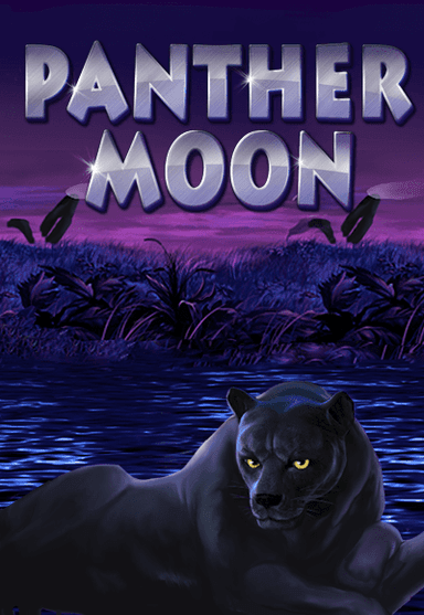 pmn-vertical.png